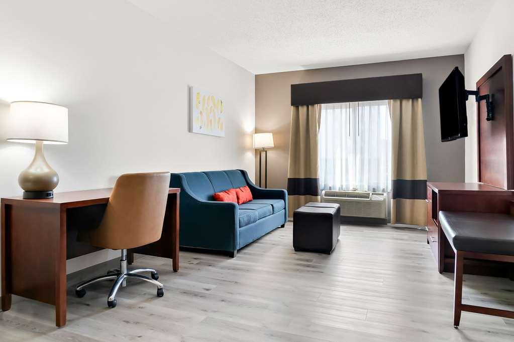 Comfort Suites Southfield-Detroit Room photo